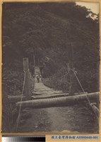 藏品(吊橋)的圖片